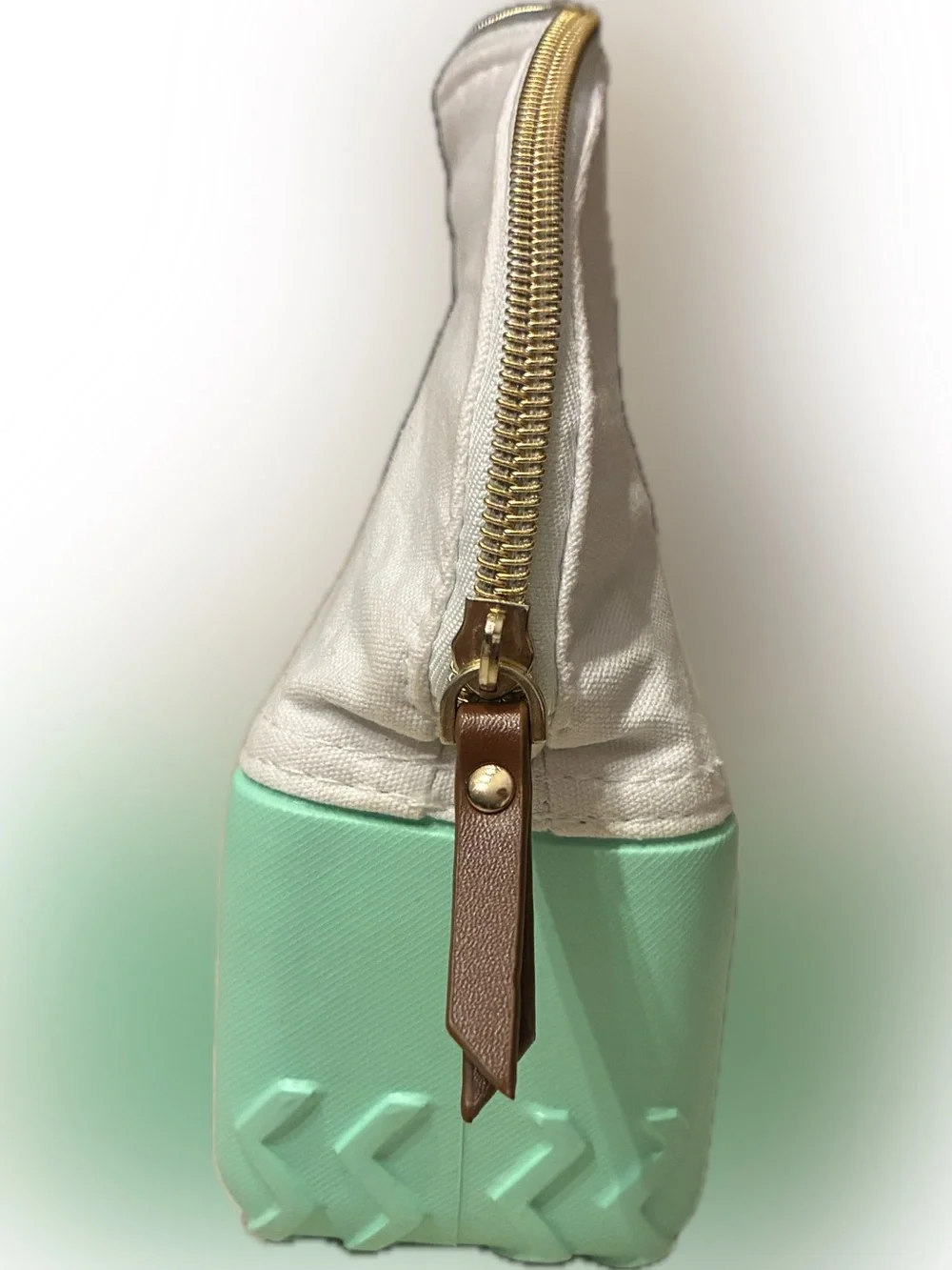 Beauty And The Bogg 9x7x3 Cosmetic Makeup Travel Bag (Mint Chip)